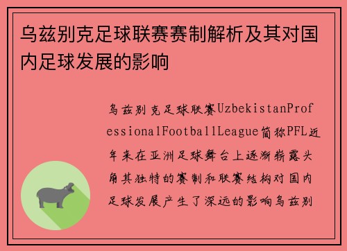 乌兹别克足球联赛赛制解析及其对国内足球发展的影响