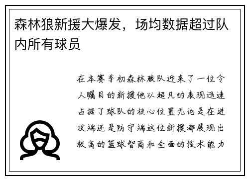 森林狼新援大爆发，场均数据超过队内所有球员